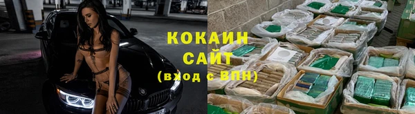шишки Арсеньев