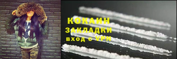 шишки Арсеньев