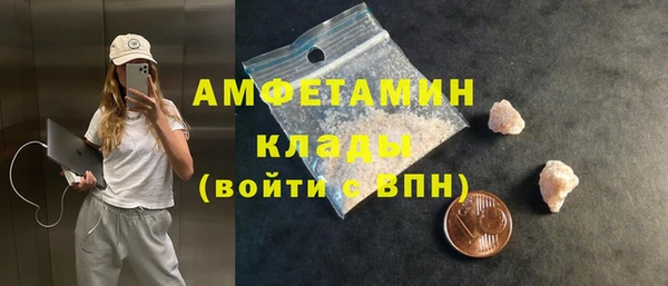 шишки Арсеньев