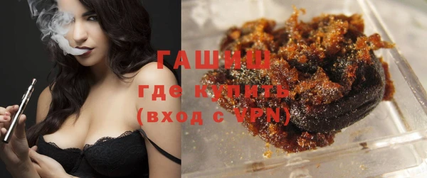 шишки Арсеньев